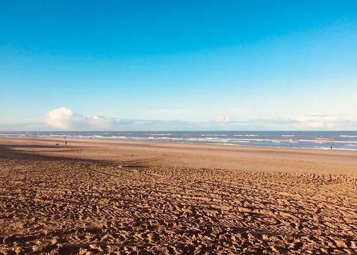 Apartment Souterrain Sandy Sous Noordwijk