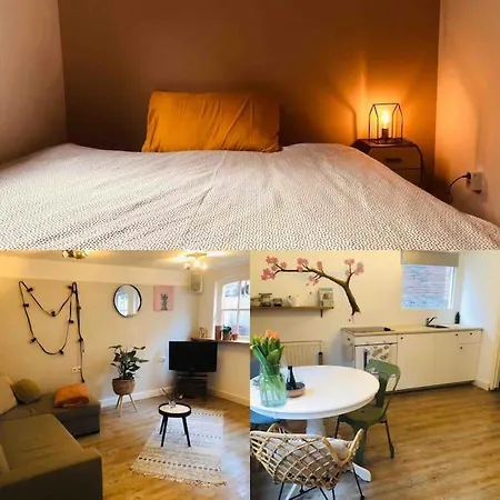 Souterrain Sandy Sous * نوردفيك