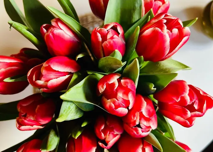 Souterrain Sandy Sous